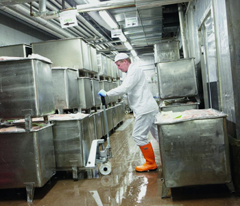 Transpaleta Manual Toyota para entornos húmedos