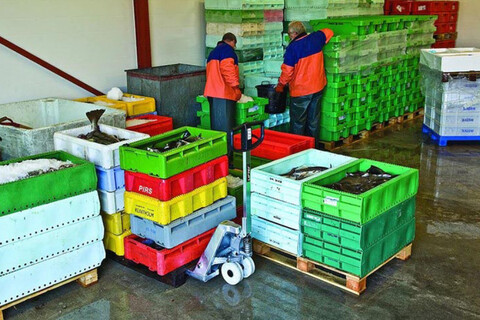 BT Lifter de acero inoxidable